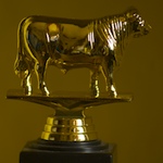 Golden Bull award